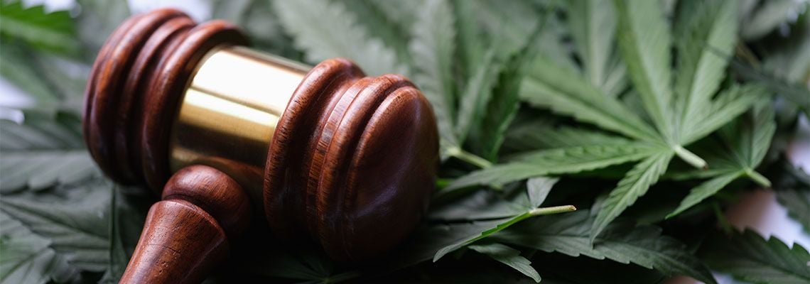 Cannabis Odor Laws in Canada: A Complete Guide for Growers and Licensed Producers Cannabis Odor Laws in Canada: A Complete Guide for Growers and Licensed Producers